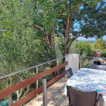 With Parking Space Petrcane, Zadar - 23558 Apartman *