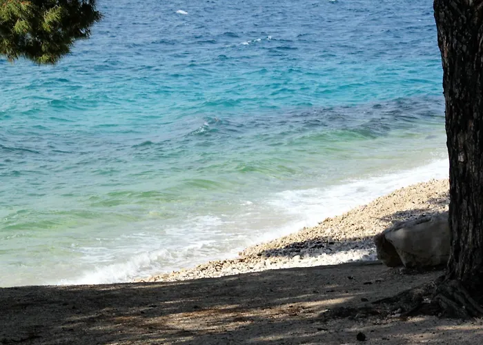 With Parking Space Petrcane, Zadar - 23558 * Petrcane