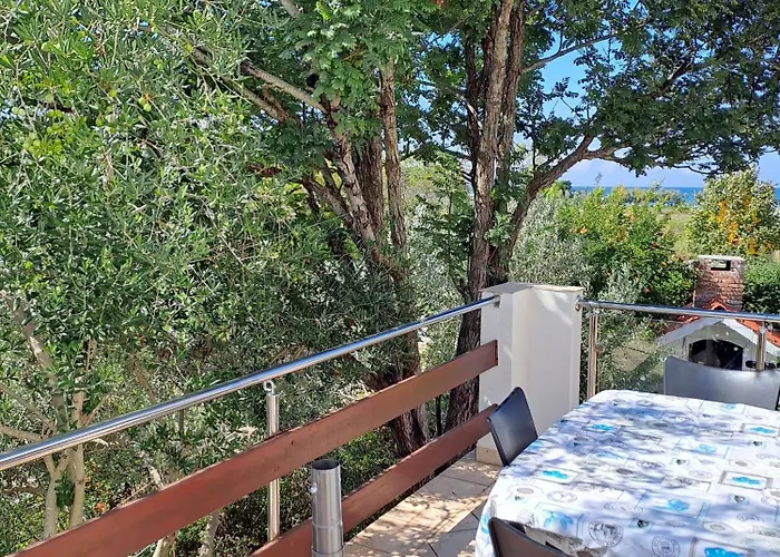 With Parking Space Petrcane, Zadar - 23558 Apartman *